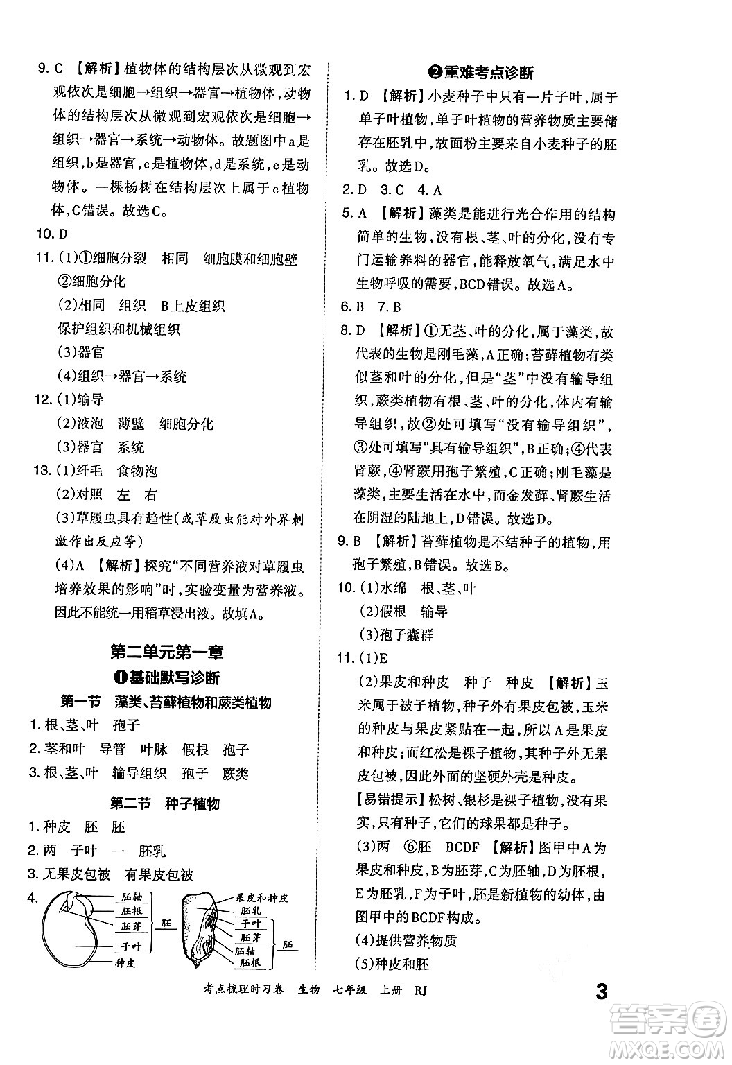 江西人民出版社2024年秋王朝霞考點梳理時習(xí)卷七年級生物上冊人教版答案