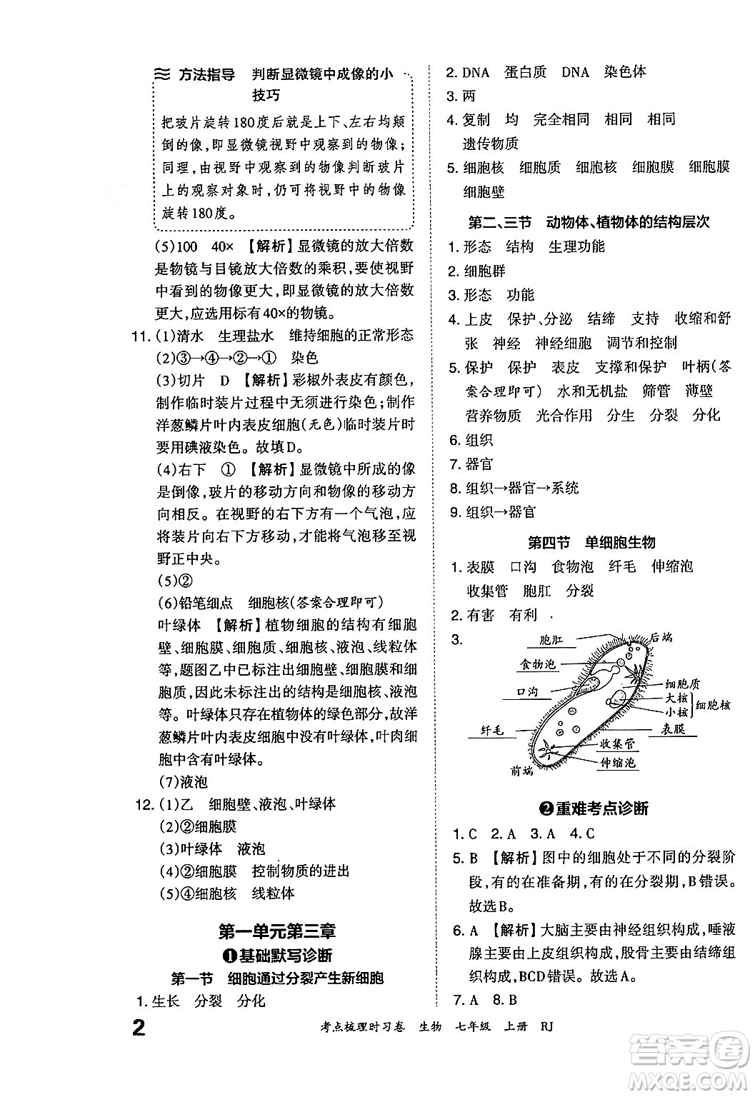 江西人民出版社2024年秋王朝霞考點梳理時習(xí)卷七年級生物上冊人教版答案