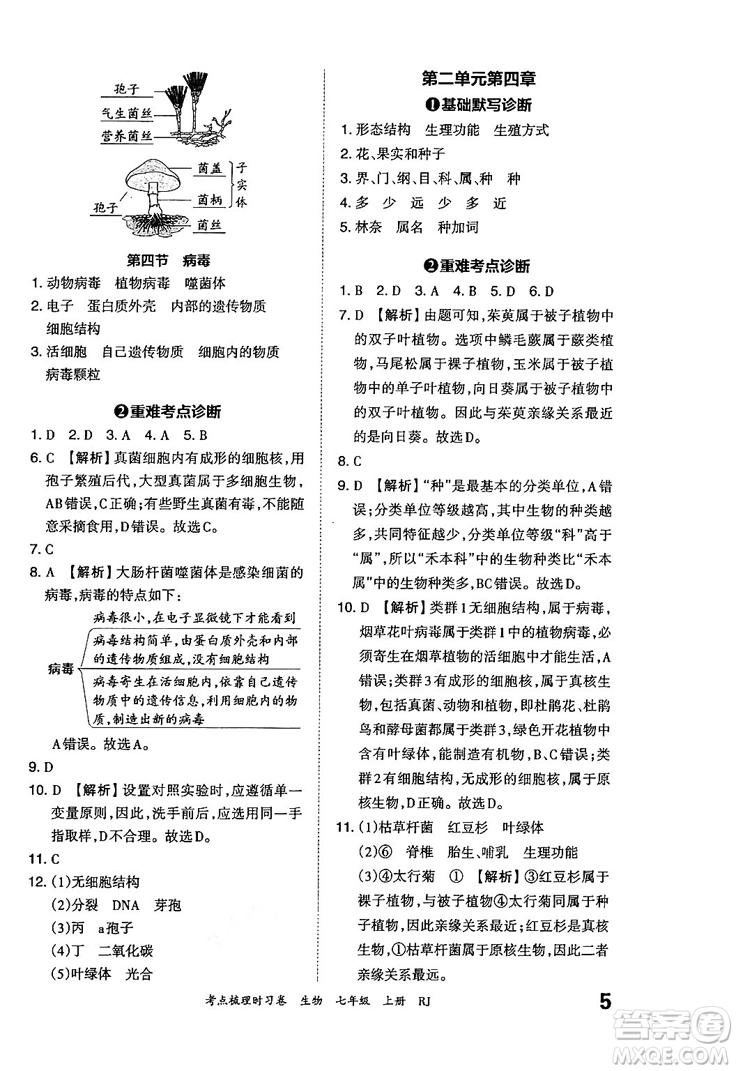 江西人民出版社2024年秋王朝霞考點梳理時習(xí)卷七年級生物上冊人教版答案