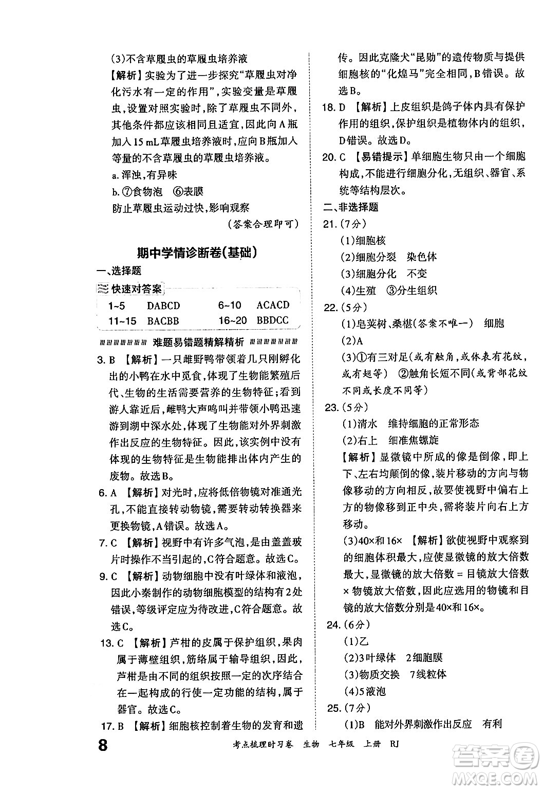 江西人民出版社2024年秋王朝霞考點梳理時習(xí)卷七年級生物上冊人教版答案