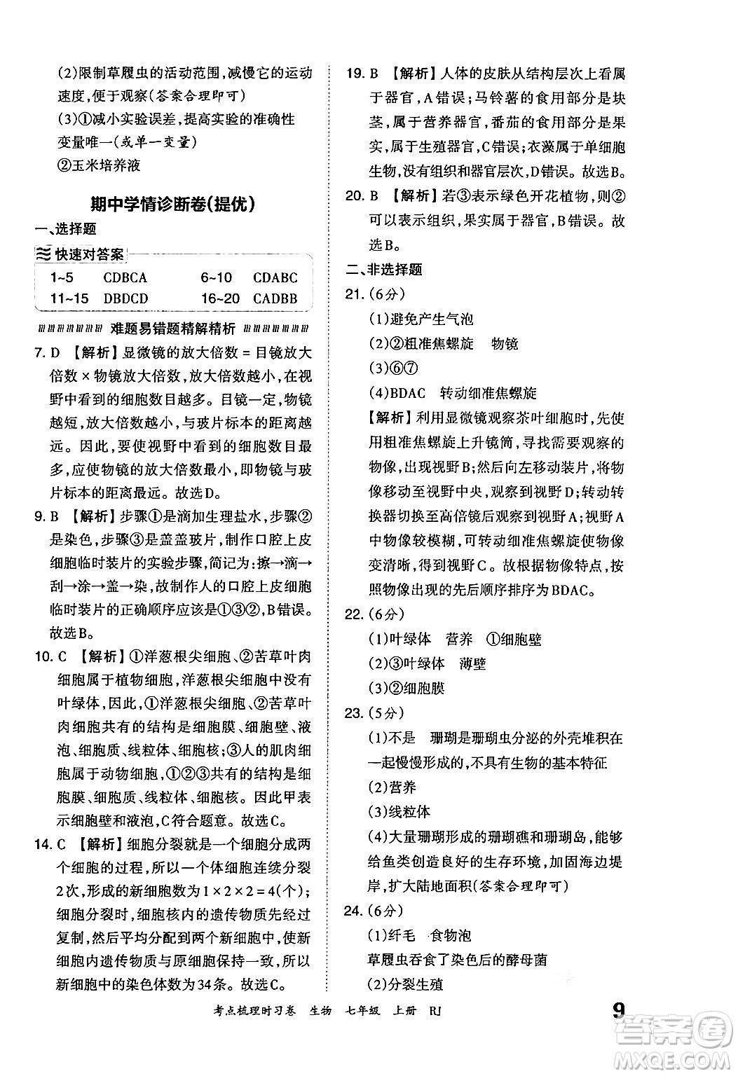 江西人民出版社2024年秋王朝霞考點梳理時習(xí)卷七年級生物上冊人教版答案