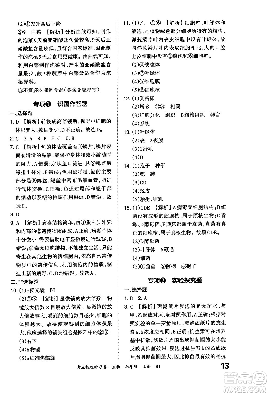 江西人民出版社2024年秋王朝霞考點梳理時習(xí)卷七年級生物上冊人教版答案