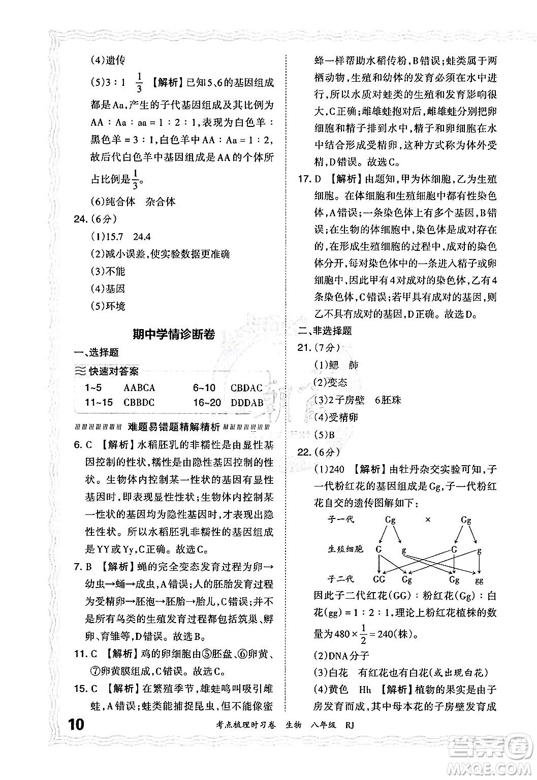 江西人民出版社2024年秋王朝霞考點梳理時習(xí)卷八年級生物上冊人教版答案