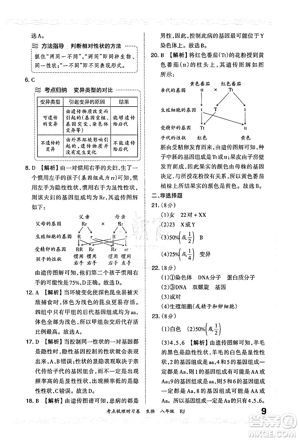 江西人民出版社2024年秋王朝霞考點梳理時習(xí)卷八年級生物上冊人教版答案