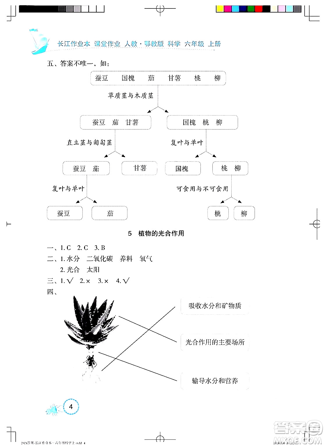 湖北教育出版社2024年秋長江作業(yè)本課堂作業(yè)六年級科學(xué)上冊人教版答案