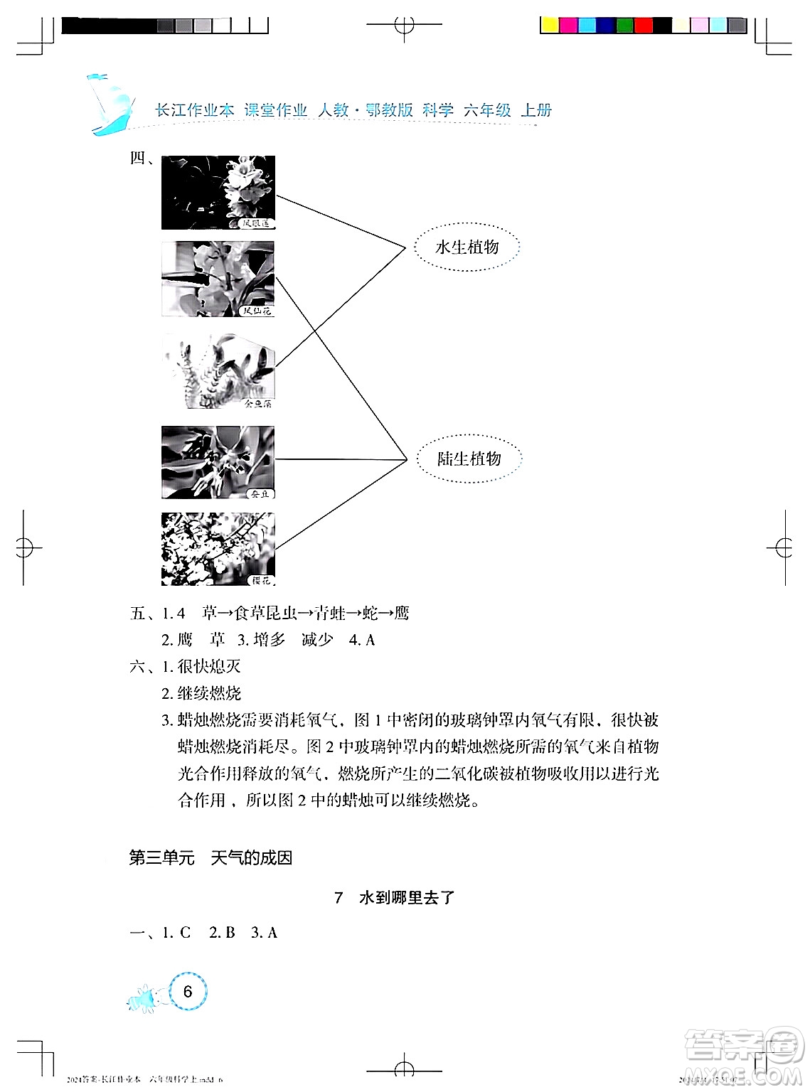 湖北教育出版社2024年秋長江作業(yè)本課堂作業(yè)六年級科學(xué)上冊人教版答案