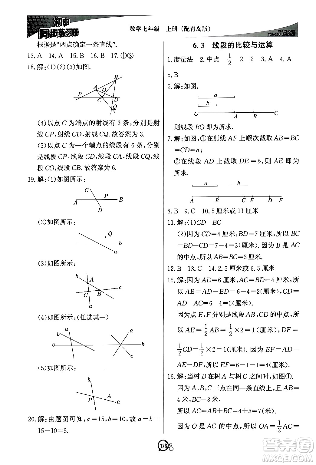 北京教育出版社2024秋初中同步練習(xí)冊七年級數(shù)學(xué)上冊青島版答案