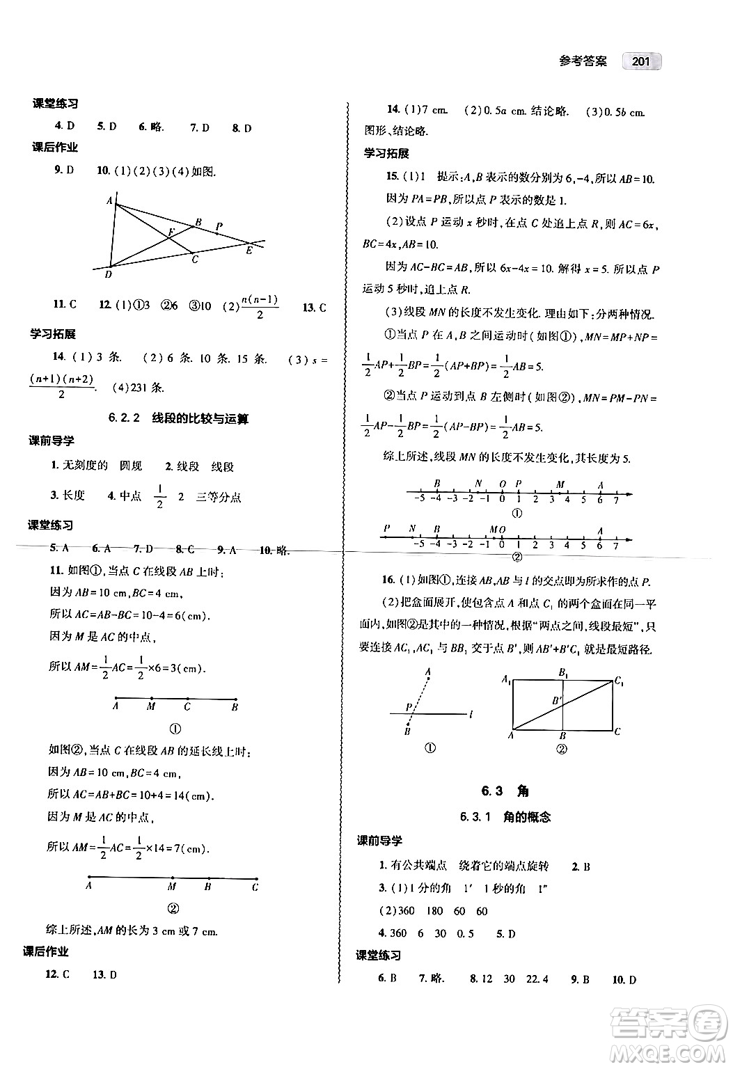 大象出版社2024秋初中同步練習(xí)冊(cè)七年級(jí)數(shù)學(xué)上冊(cè)人教版山東專版答案