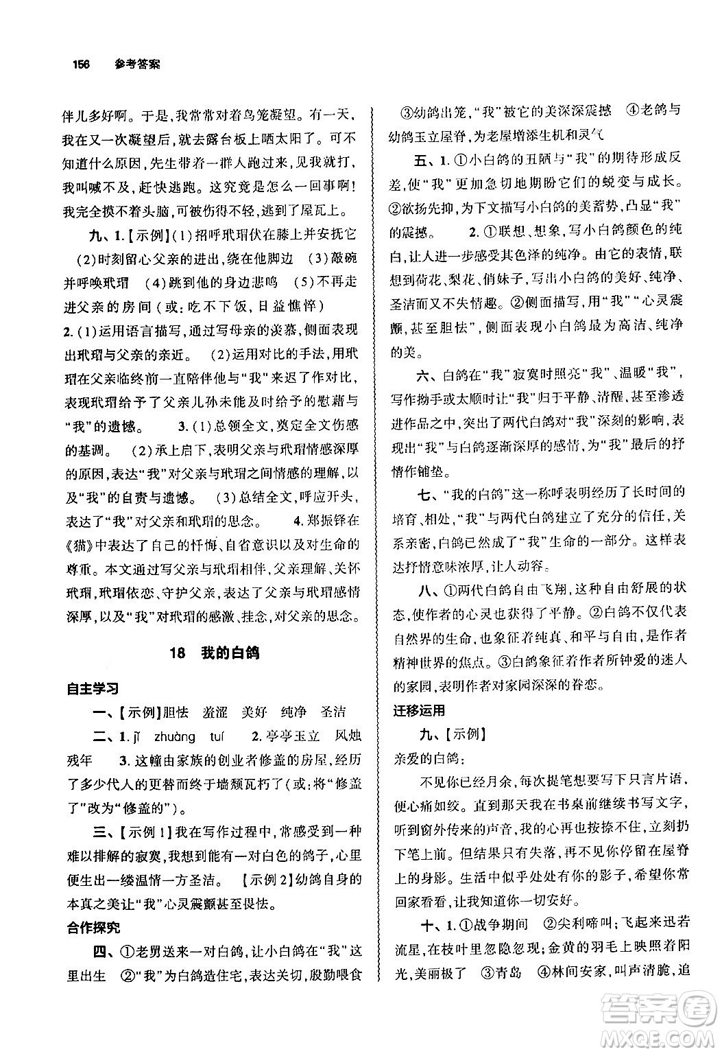 大象出版社2024秋初中同步練習(xí)冊七年級語文上冊人教版山東專版答案