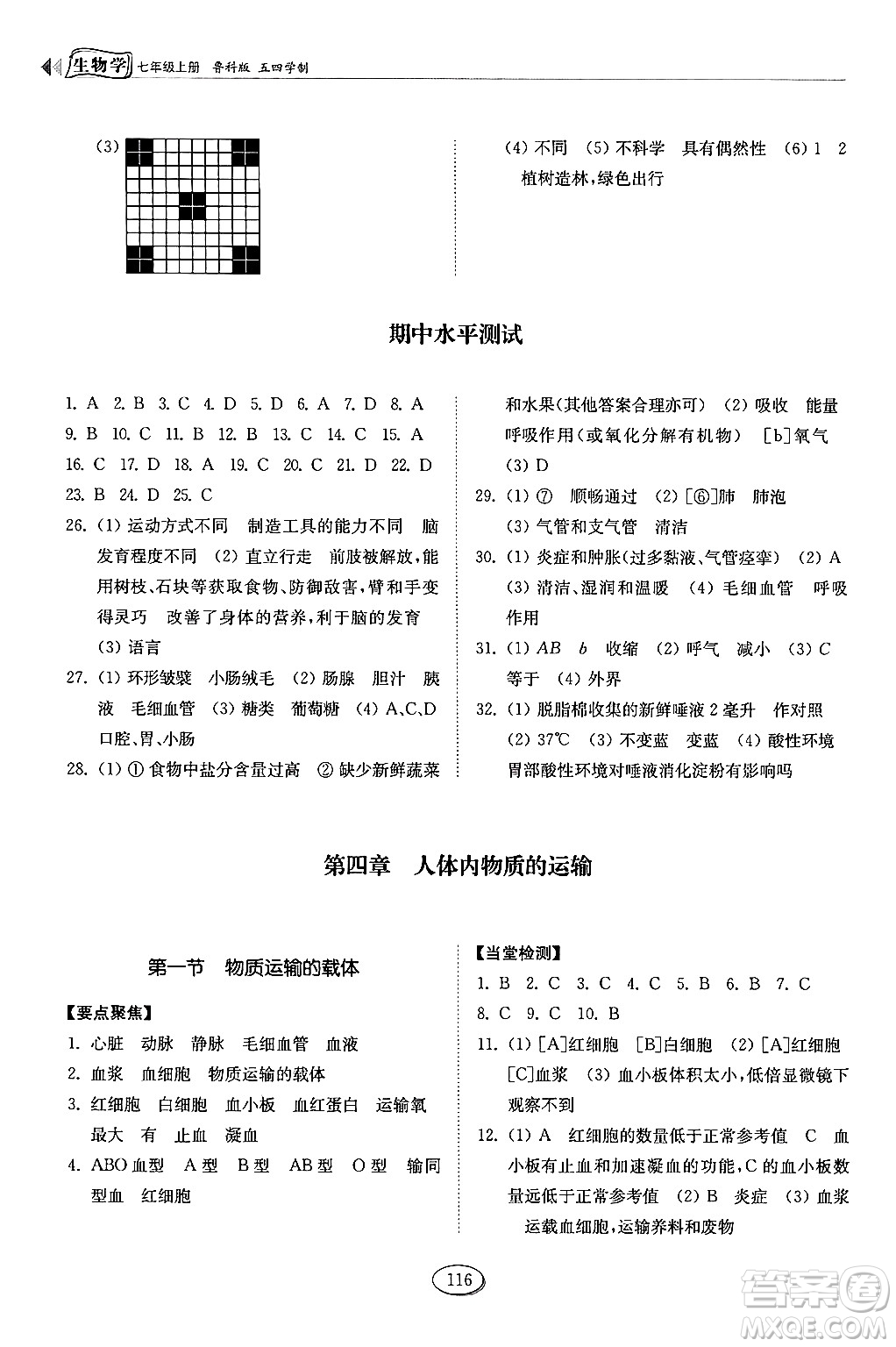 山東科學(xué)技術(shù)出版社2024秋初中同步練習(xí)冊(cè)七年級(jí)生物上冊(cè)魯科版五四制答案