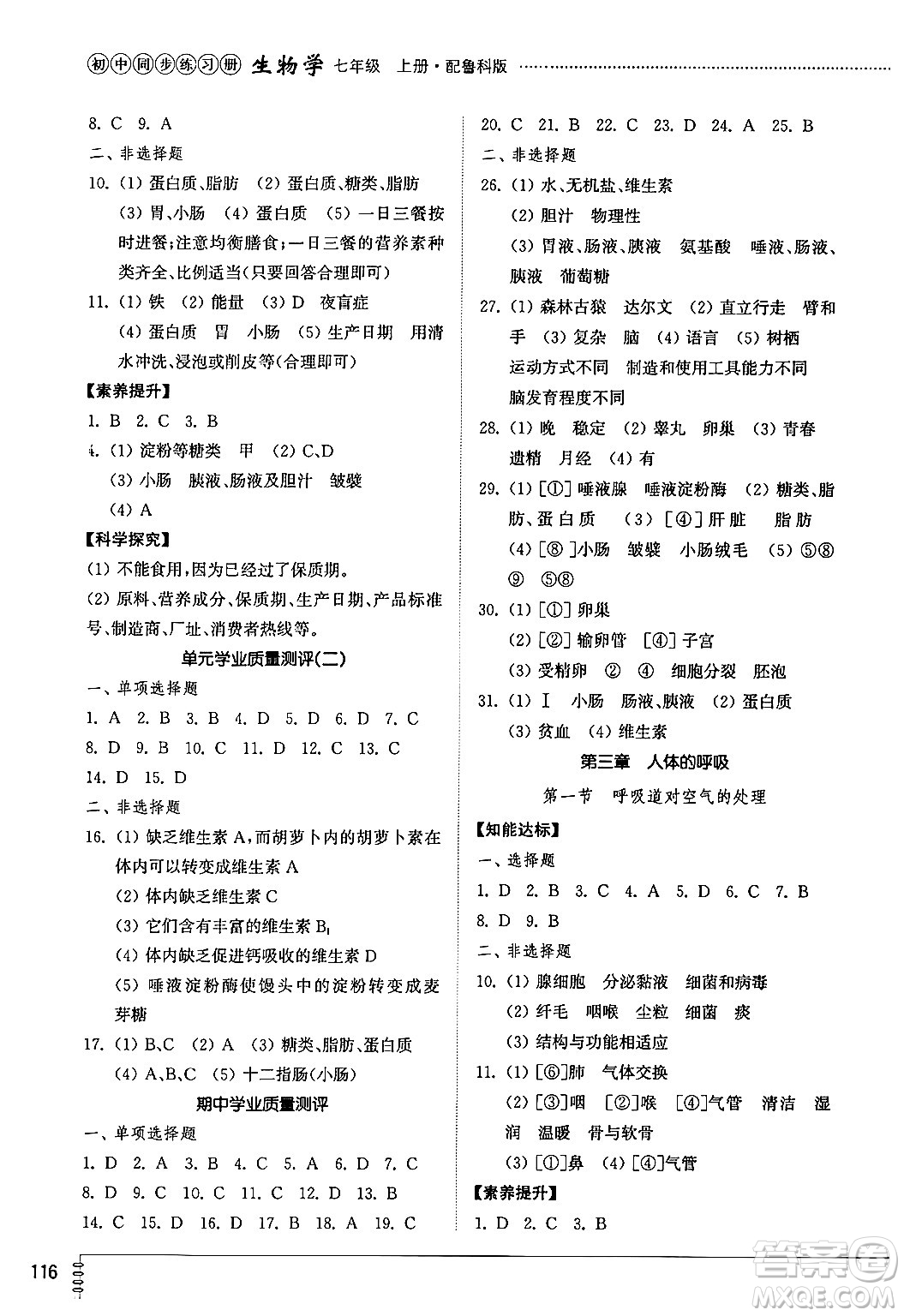 山東教育出版社2024秋初中同步練習(xí)冊(cè)七年級(jí)生物上冊(cè)魯科版五四制答案