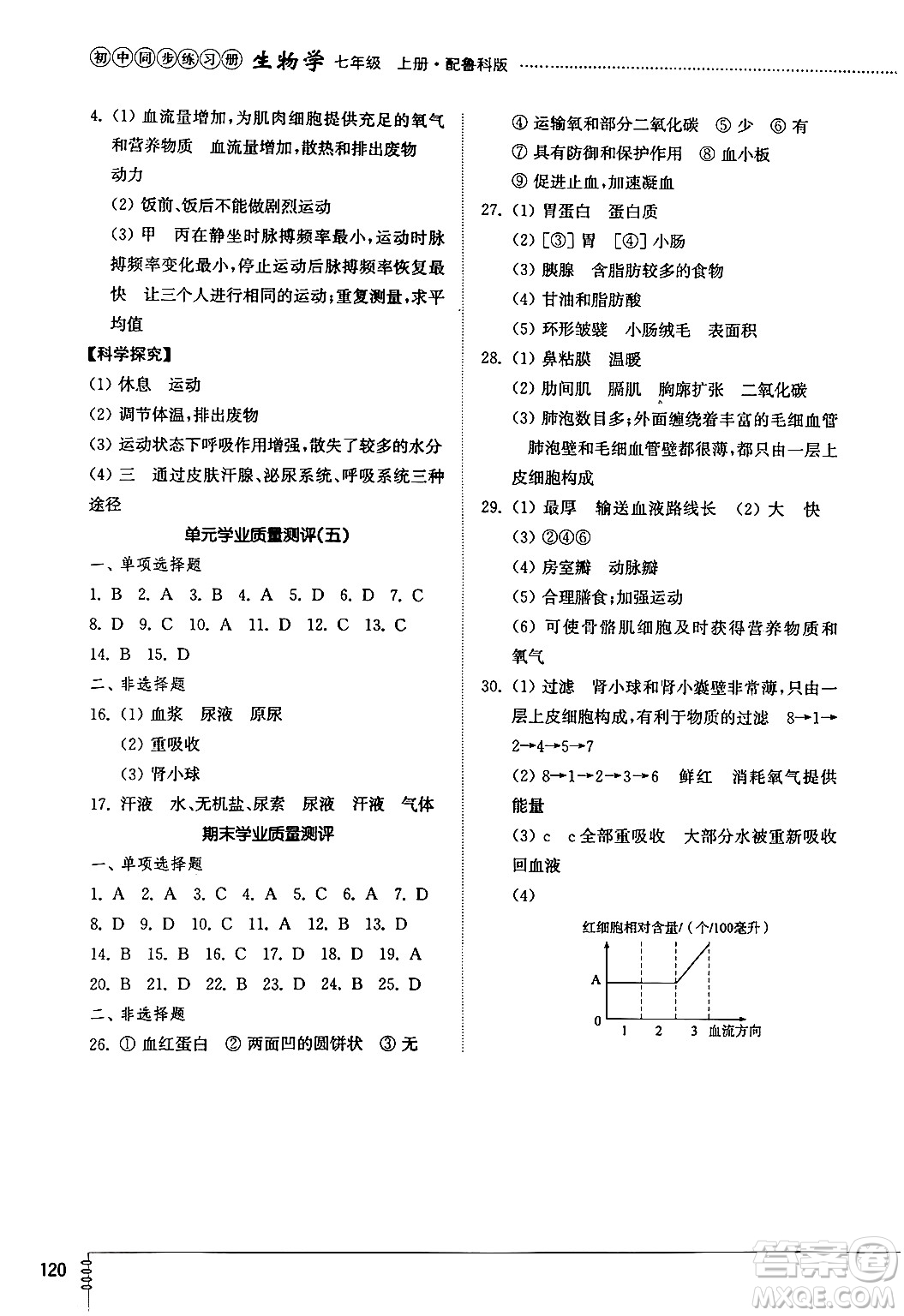 山東教育出版社2024秋初中同步練習(xí)冊(cè)七年級(jí)生物上冊(cè)魯科版五四制答案