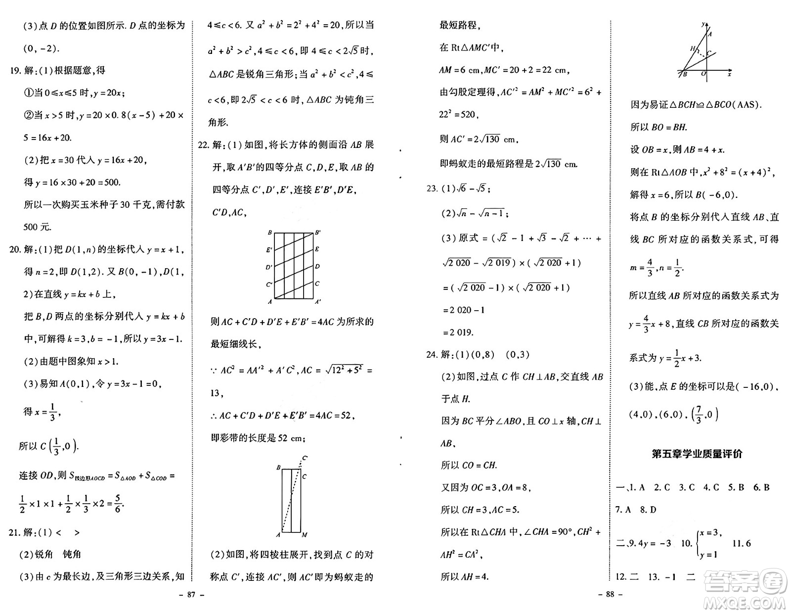 北京師范大學(xué)出版社2024秋初中同步練習(xí)冊(cè)八年級(jí)數(shù)學(xué)上冊(cè)北師大版答案