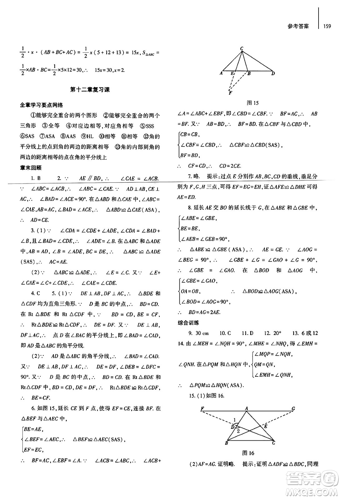 大象出版社2024秋初中同步練習(xí)冊(cè)八年級(jí)數(shù)學(xué)上冊(cè)人教版山東專版答案