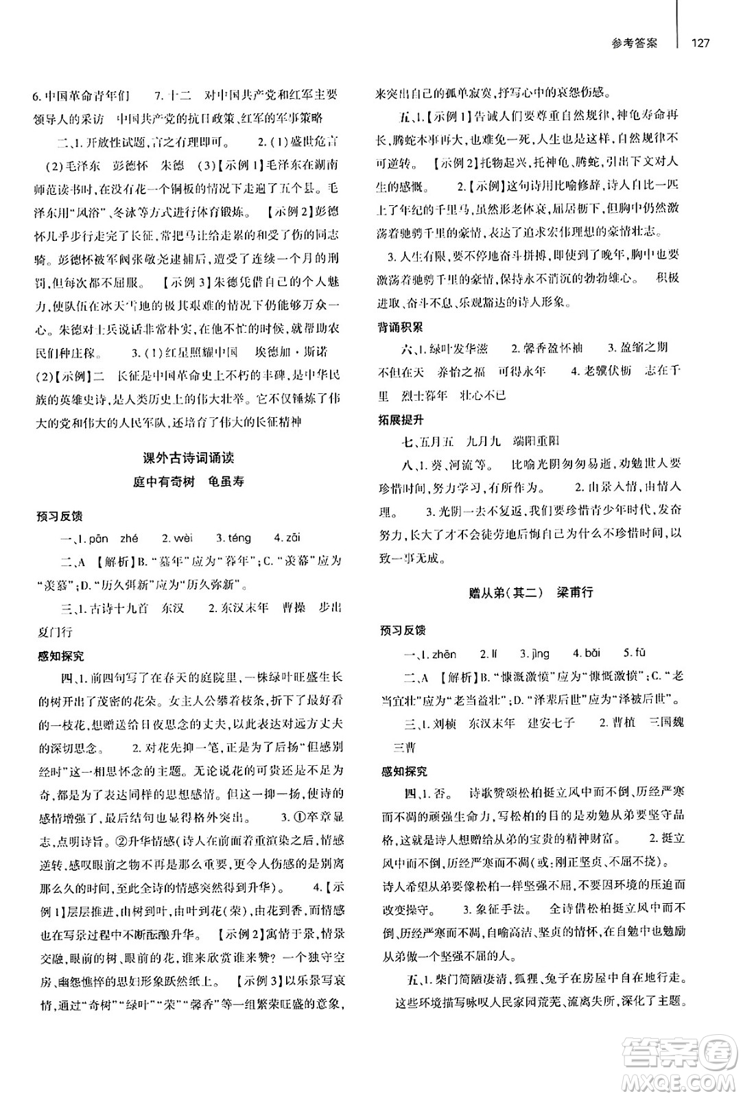 大象出版社2024秋初中同步練習(xí)冊(cè)八年級(jí)語(yǔ)文上冊(cè)人教版山東專版答案