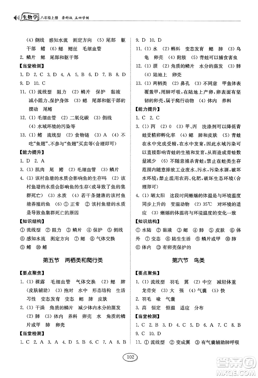 山東科學(xué)技術(shù)出版社2024秋初中同步練習(xí)冊(cè)八年級(jí)生物上冊(cè)魯科版五四制答案