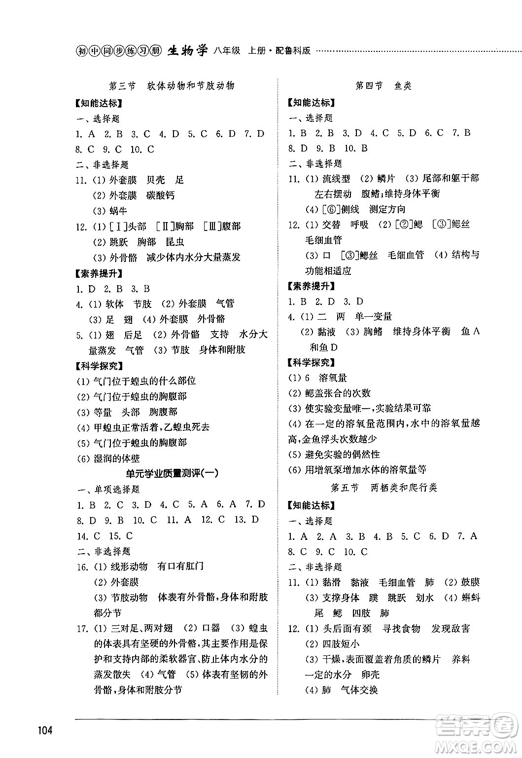 山東教育出版社2024秋初中同步練習(xí)冊(cè)八年級(jí)生物上冊(cè)魯科版五四制答案