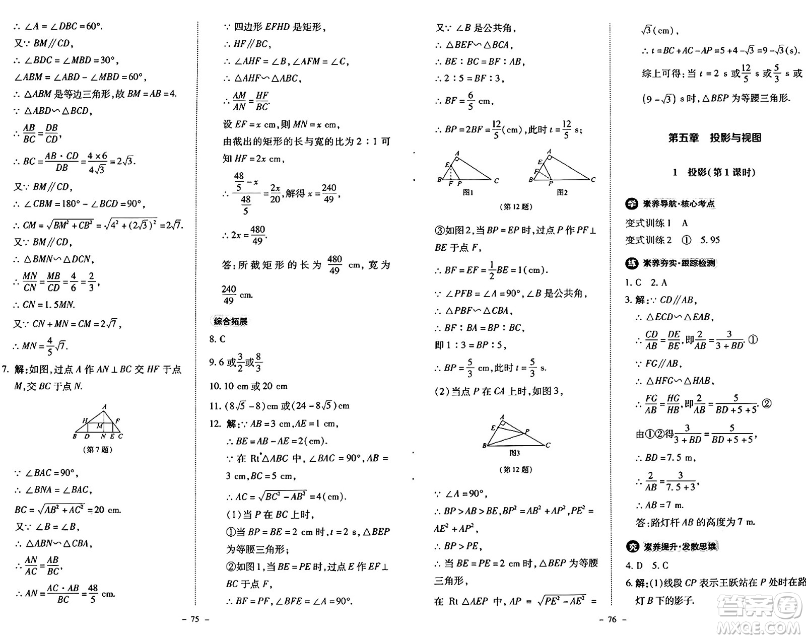 北京師范大學(xué)出版社2024秋初中同步練習(xí)冊(cè)九年級(jí)數(shù)學(xué)上冊(cè)北師大版答案