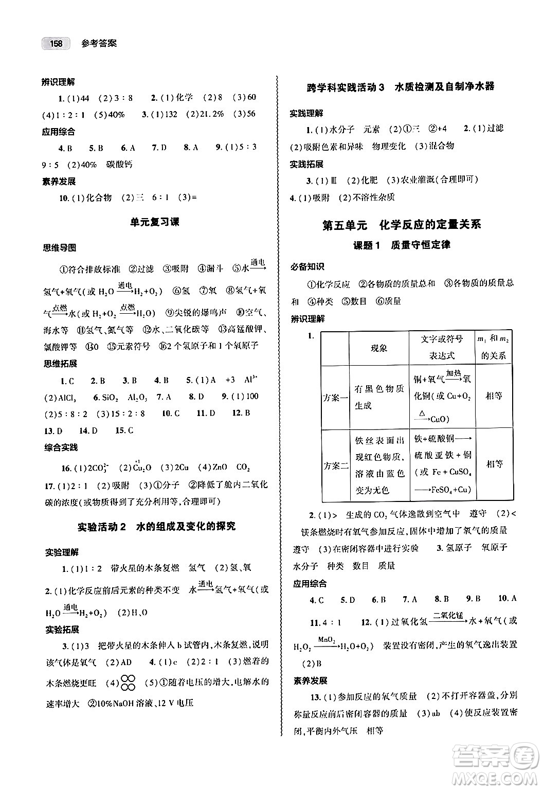 大象出版社2024秋初中同步練習(xí)冊(cè)九年級(jí)化學(xué)上冊(cè)人教版山東專版答案