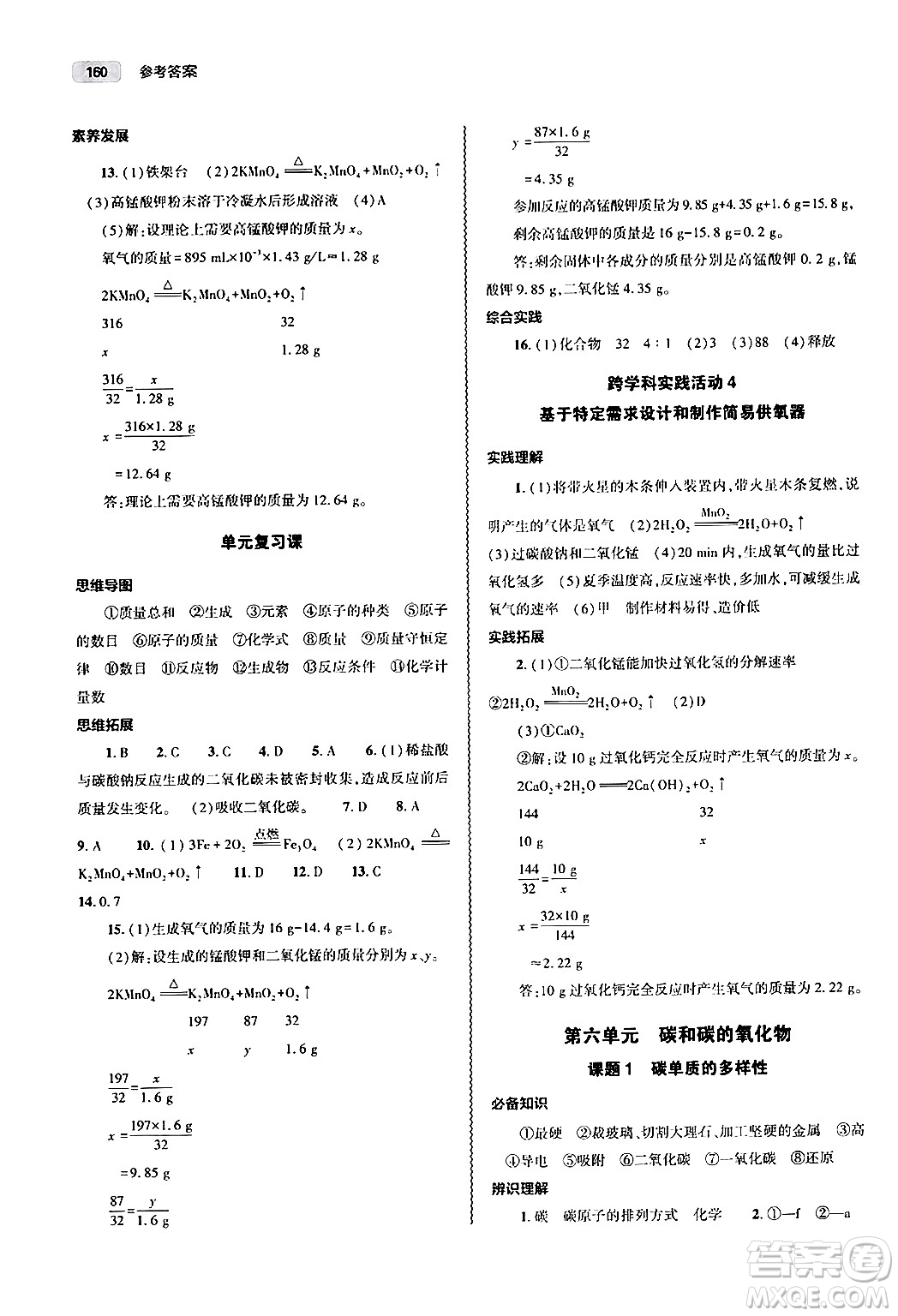 大象出版社2024秋初中同步練習(xí)冊(cè)九年級(jí)化學(xué)上冊(cè)人教版山東專版答案