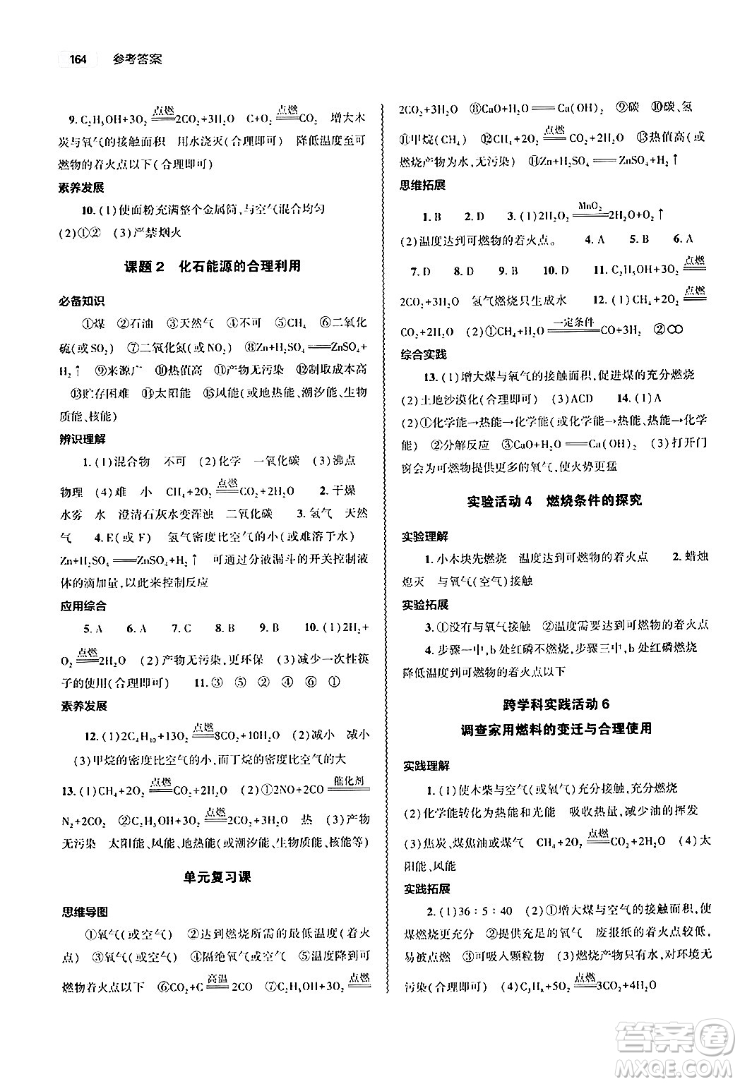 大象出版社2024秋初中同步練習(xí)冊(cè)九年級(jí)化學(xué)上冊(cè)人教版山東專版答案