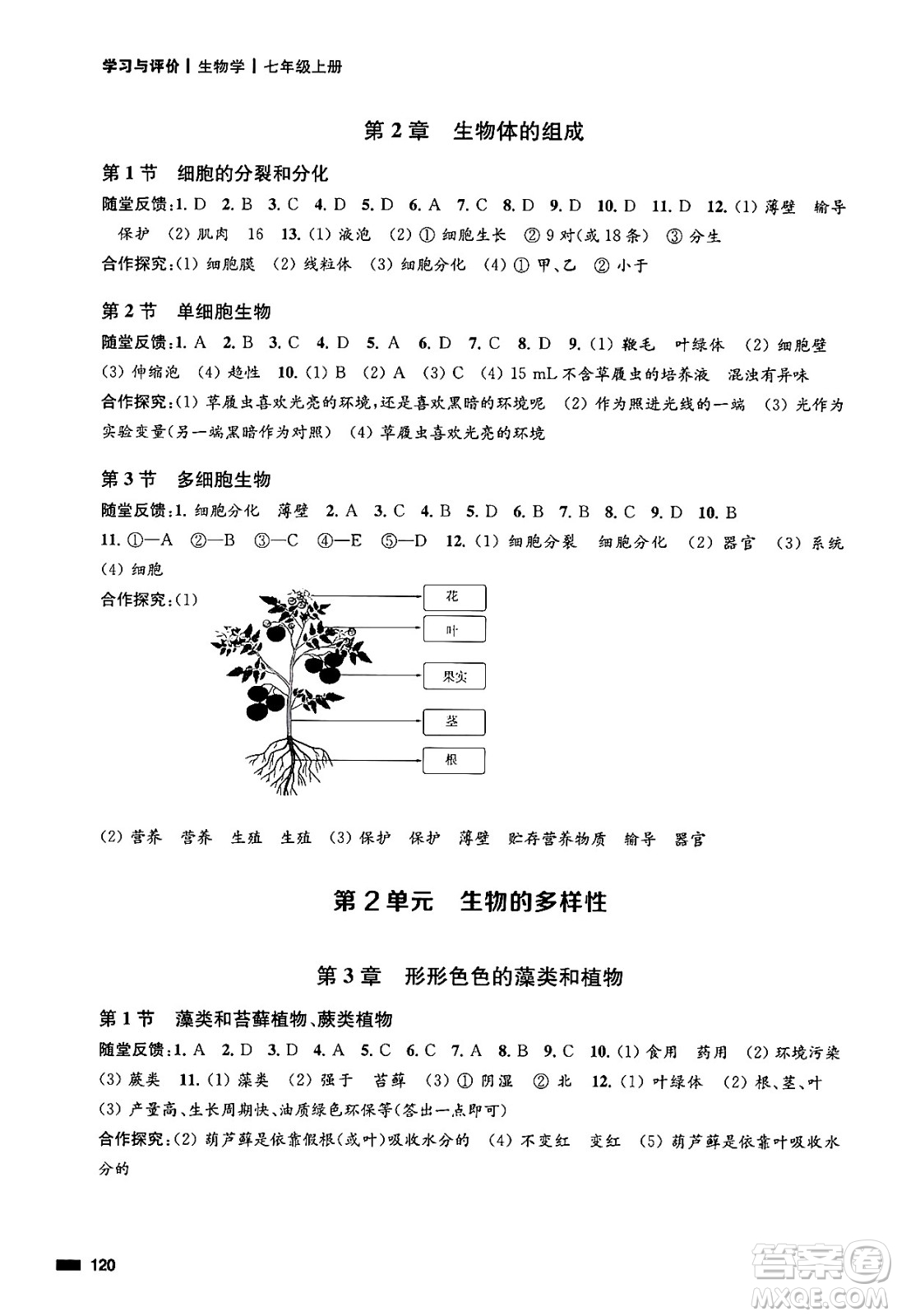 江蘇鳳凰教育出版社2024年秋學(xué)習(xí)與評價七年級生物上冊蘇科版答案