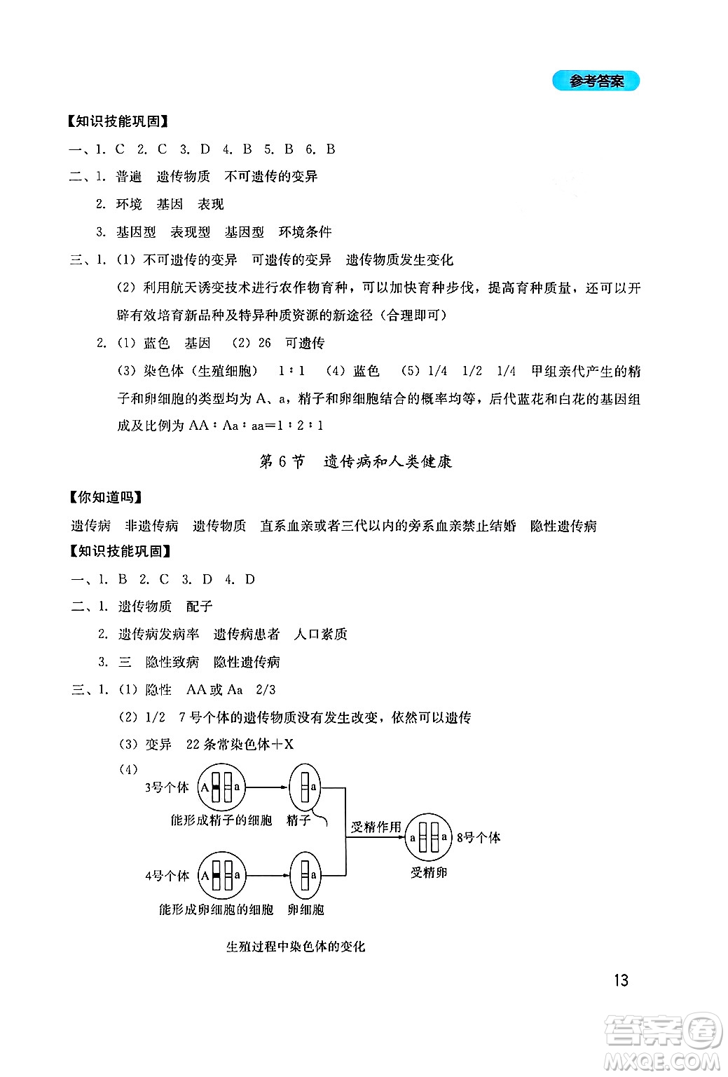 四川教育出版社2024年秋新課程實踐與探究叢書八年級生物上冊北師大版答案