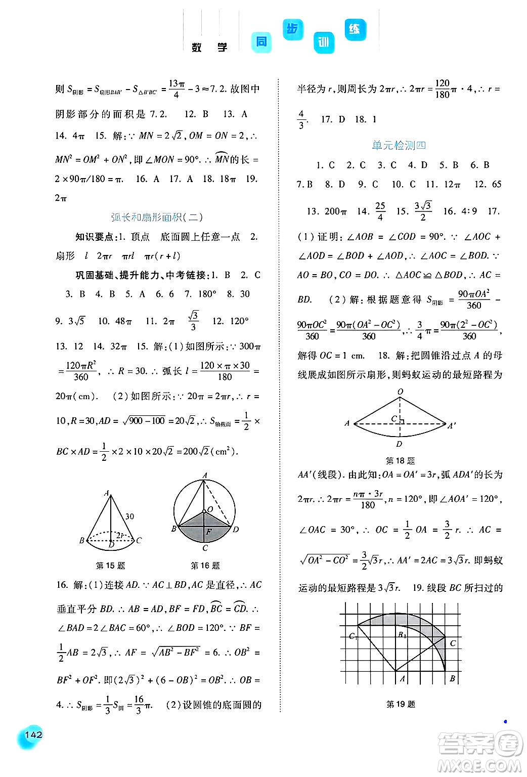 河北人民出版社2024年秋同步訓(xùn)練九年級數(shù)學(xué)上冊人教版答案