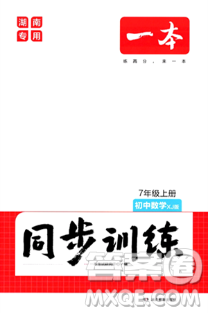 湖南教育出版社2024年秋一本同步訓(xùn)練七年級數(shù)學(xué)上冊湘教版答案