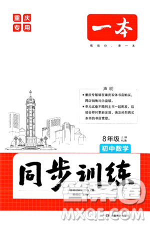 湖南教育出版社2024年秋一本同步訓練八年級數(shù)學上冊人教版重慶專版答案