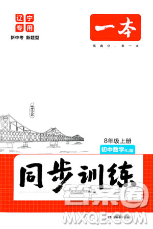 湖南教育出版社2024年秋一本同步訓(xùn)練八年級(jí)數(shù)學(xué)上冊(cè)人教版遼寧專版答案