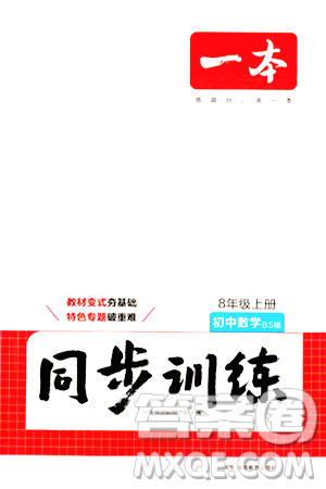 湖南教育出版社2024年秋一本同步訓(xùn)練八年級數(shù)學(xué)上冊北師大版答案