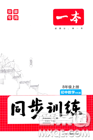 湖南教育出版社2024年秋一本同步訓(xùn)練八年級(jí)數(shù)學(xué)上冊(cè)滬科版安徽專版答案