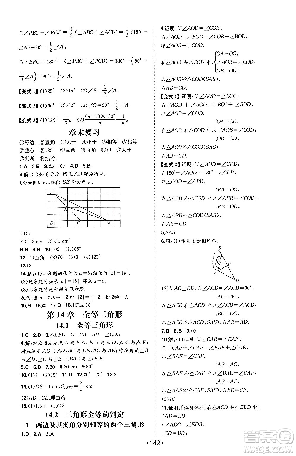 湖南教育出版社2024年秋一本同步訓(xùn)練八年級(jí)數(shù)學(xué)上冊(cè)滬科版安徽專版答案