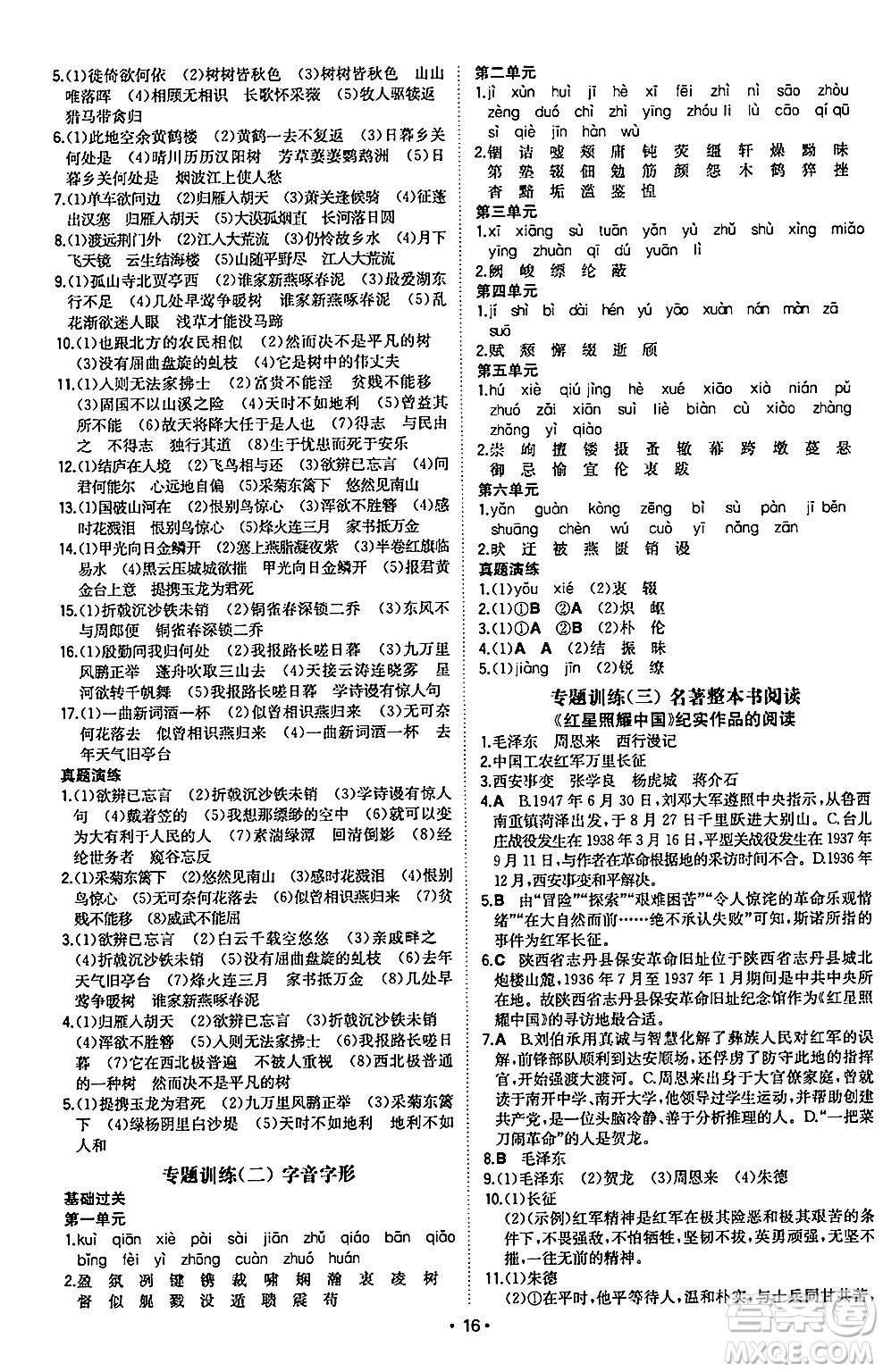 湖南教育出版社2024年秋一本同步訓(xùn)練八年級(jí)語(yǔ)文上冊(cè)人教版陜西專版答案