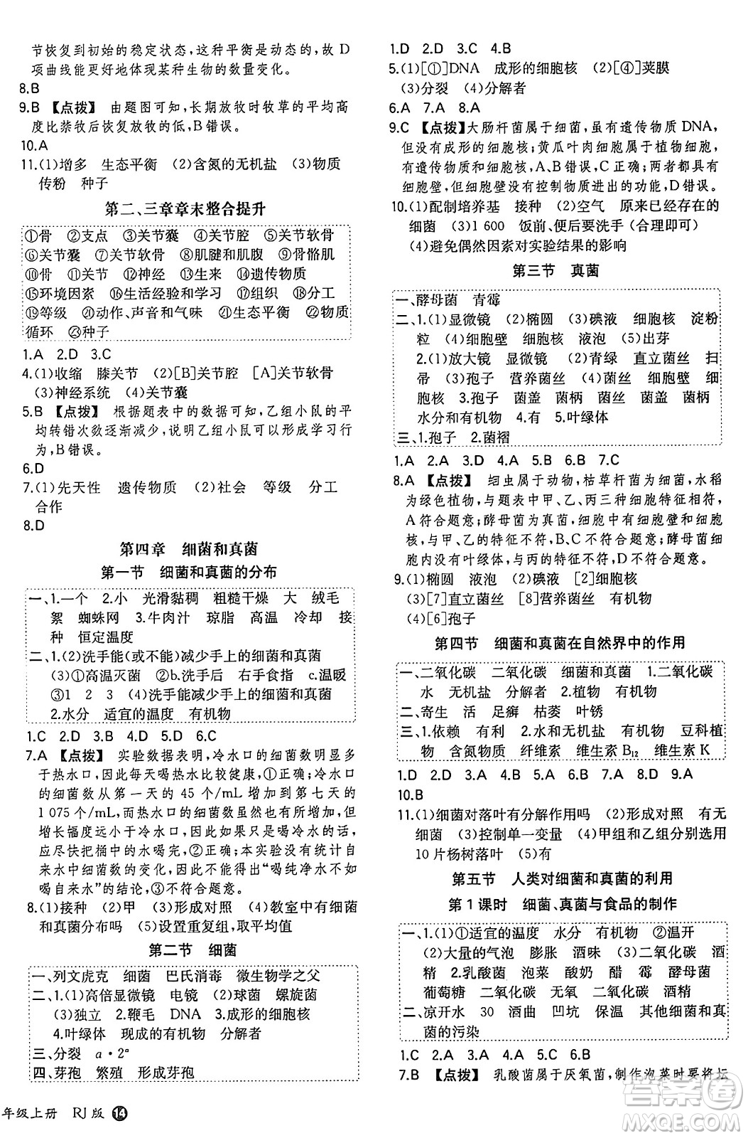 湖南教育出版社2024年秋一本同步訓練八年級生物上冊人教版答案