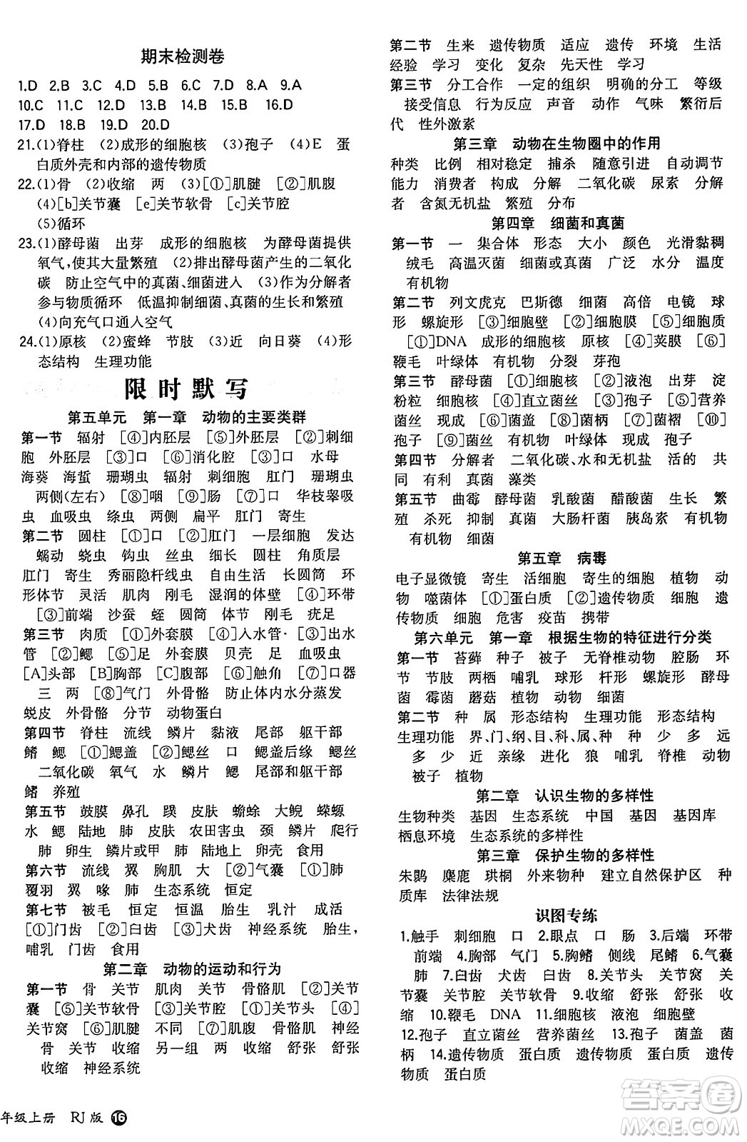 湖南教育出版社2024年秋一本同步訓練八年級生物上冊人教版答案