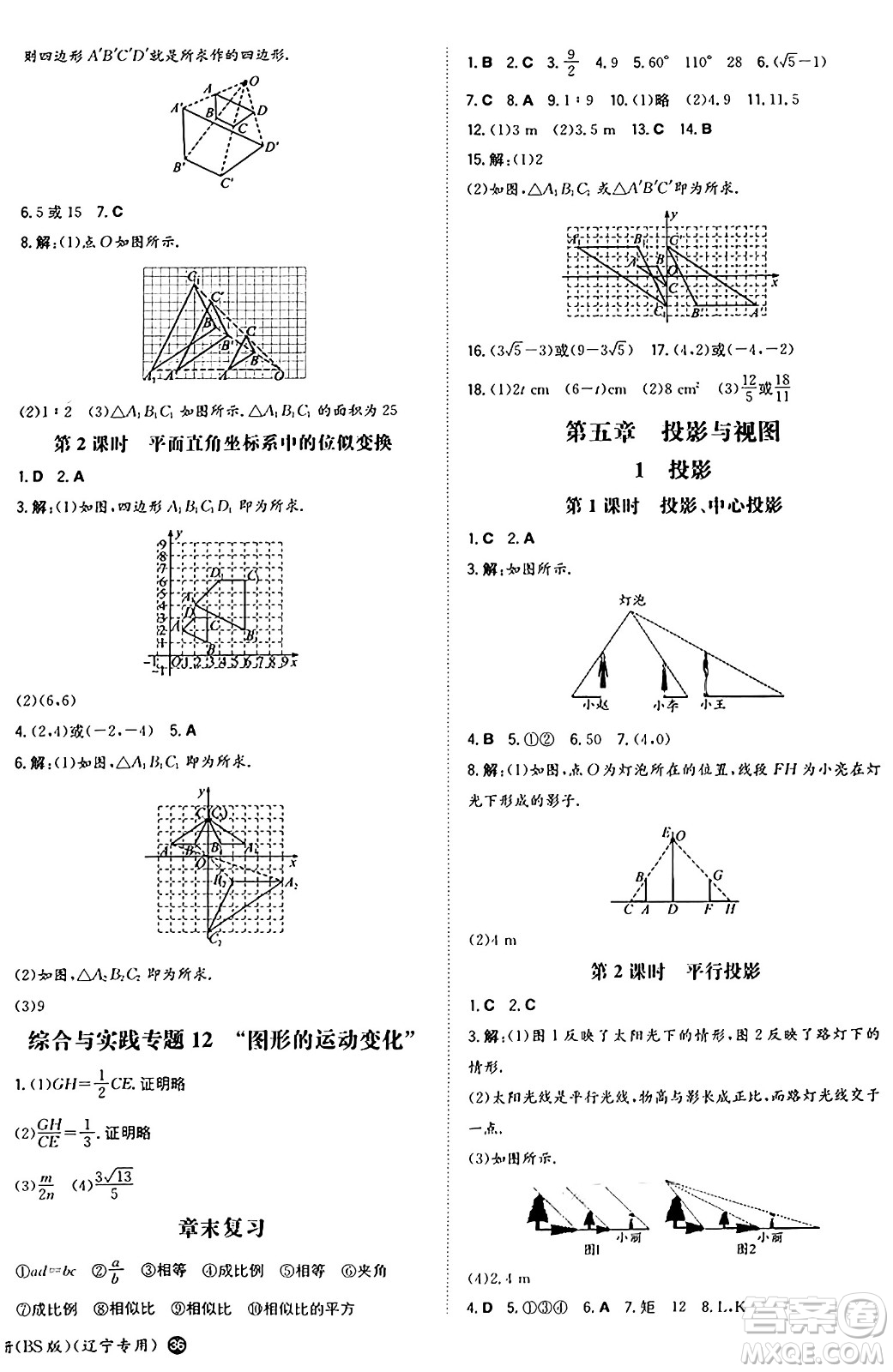 湖南教育出版社2024年秋一本同步訓(xùn)練九年級(jí)數(shù)學(xué)上冊(cè)北師大版遼寧專版答案