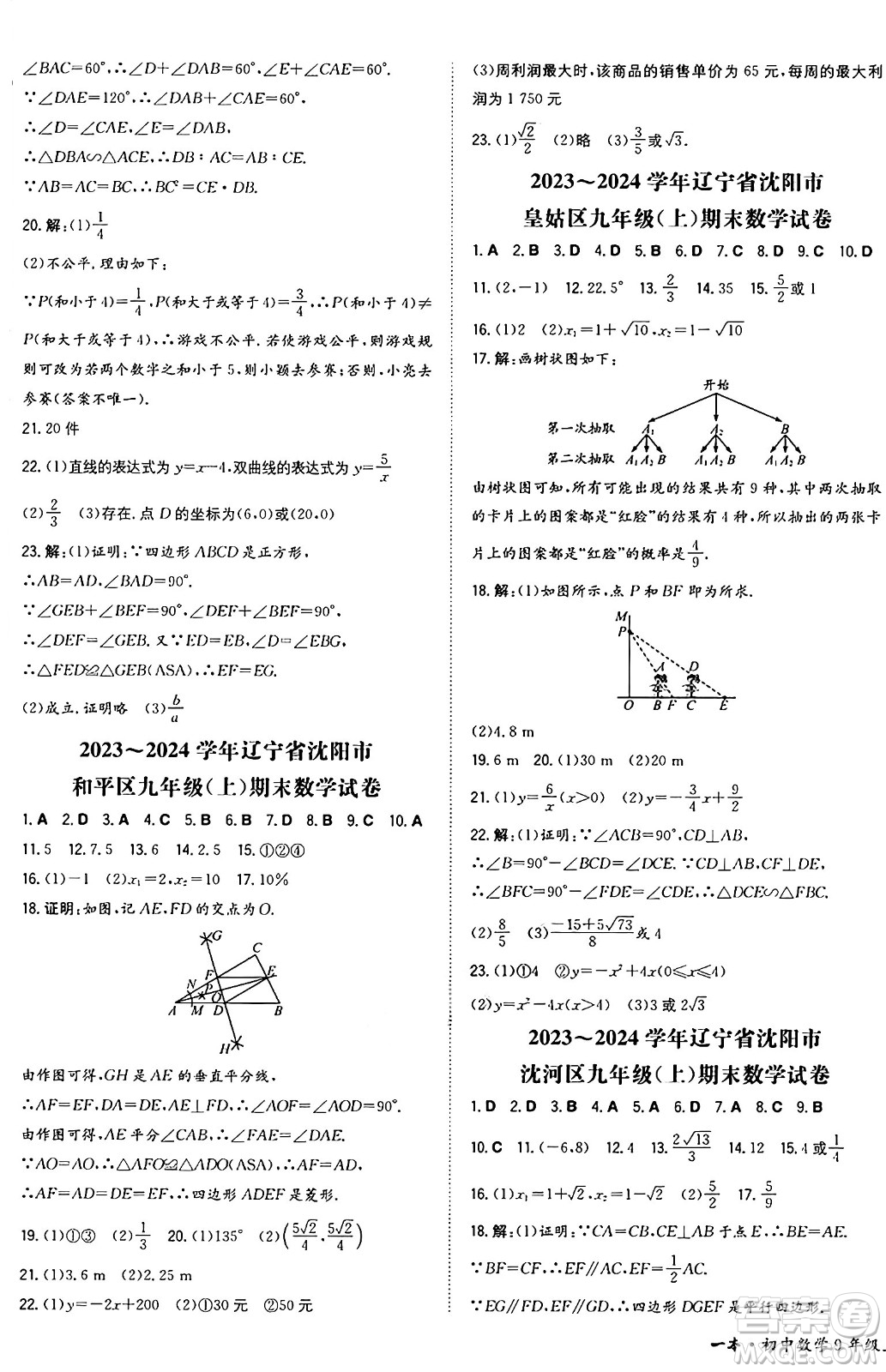 湖南教育出版社2024年秋一本同步訓(xùn)練九年級(jí)數(shù)學(xué)上冊(cè)北師大版遼寧專版答案