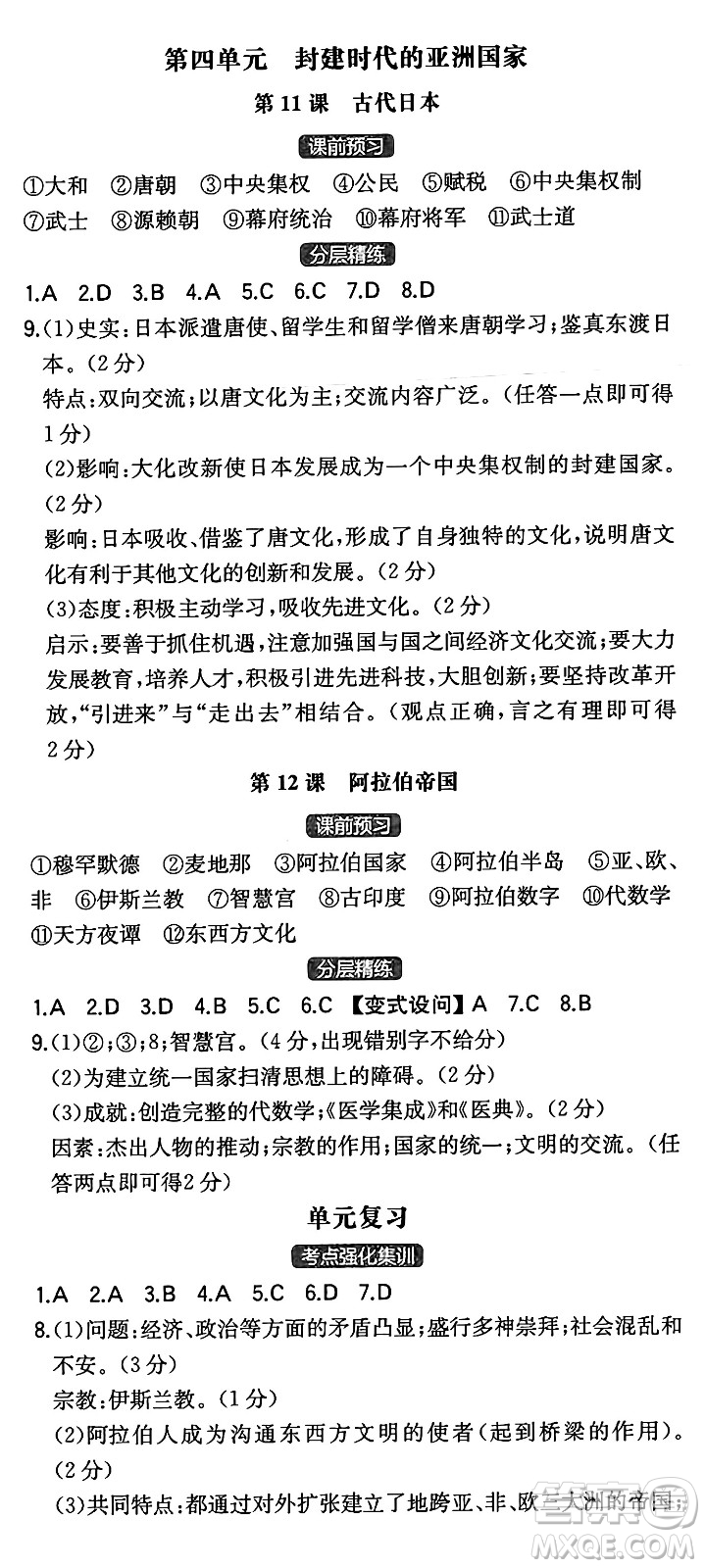 湖南教育出版社2024年秋一本同步訓練九年級歷史上冊人教版陜西專版答案