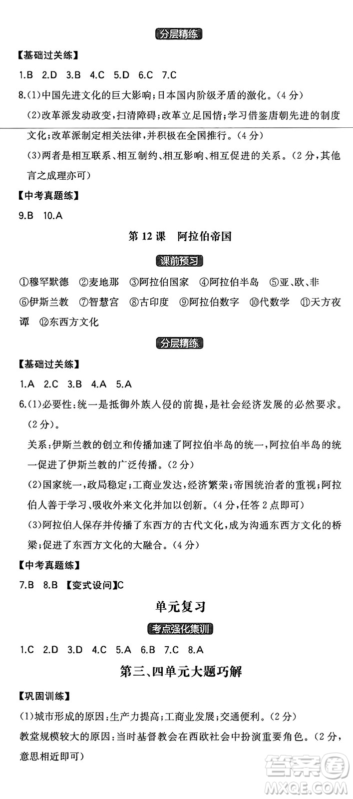 湖南教育出版社2024年秋一本同步訓練九年級歷史上冊人教版安徽專版答案