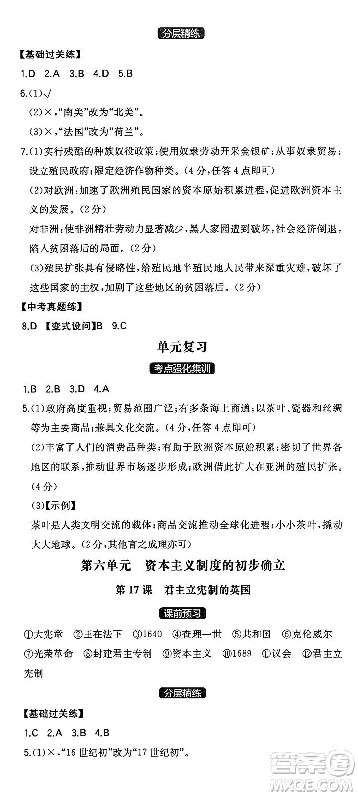 湖南教育出版社2024年秋一本同步訓練九年級歷史上冊人教版安徽專版答案