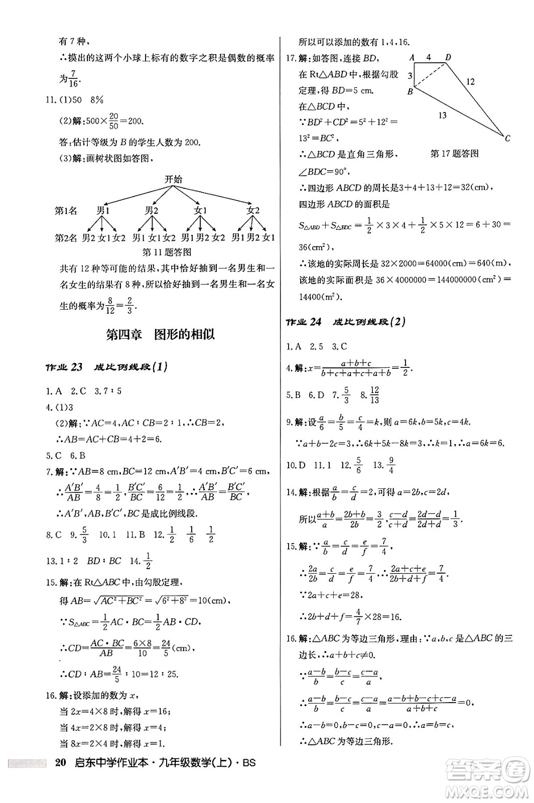 龍門書局2024秋啟東中學(xué)作業(yè)本九年級數(shù)學(xué)上冊北師大版答案