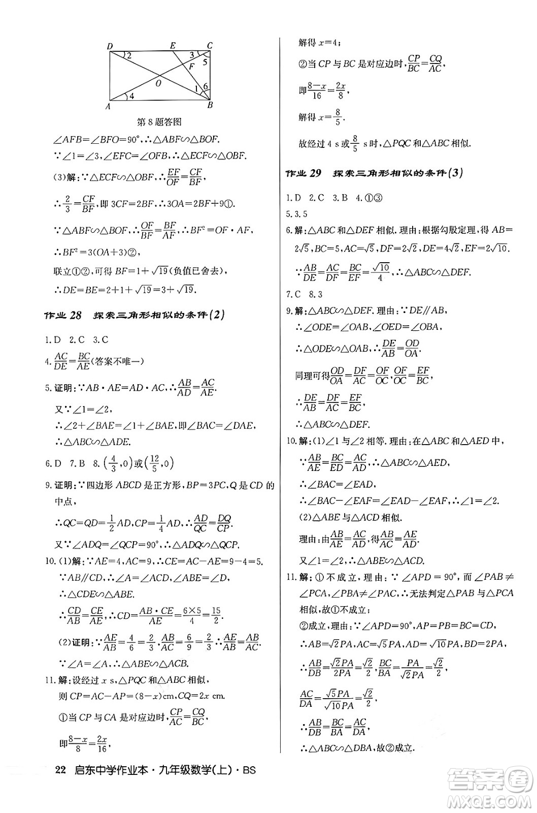 龍門書局2024秋啟東中學(xué)作業(yè)本九年級數(shù)學(xué)上冊北師大版答案