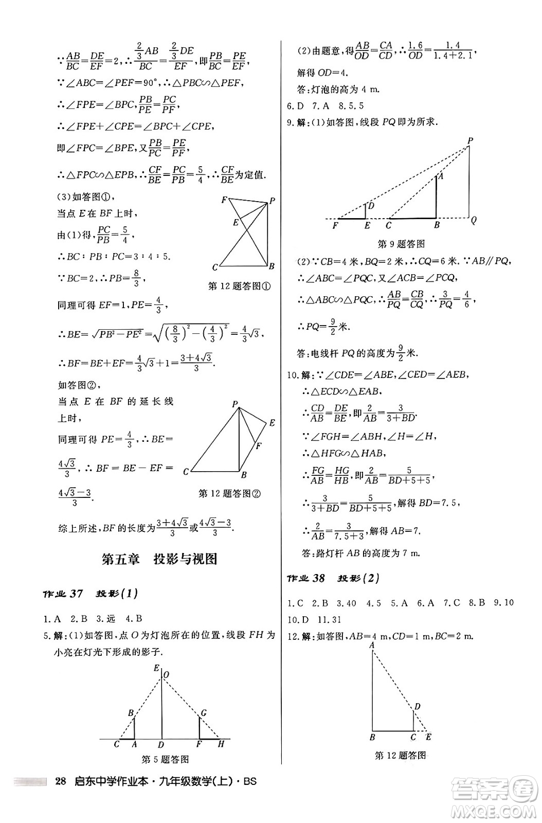 龍門書局2024秋啟東中學(xué)作業(yè)本九年級數(shù)學(xué)上冊北師大版答案