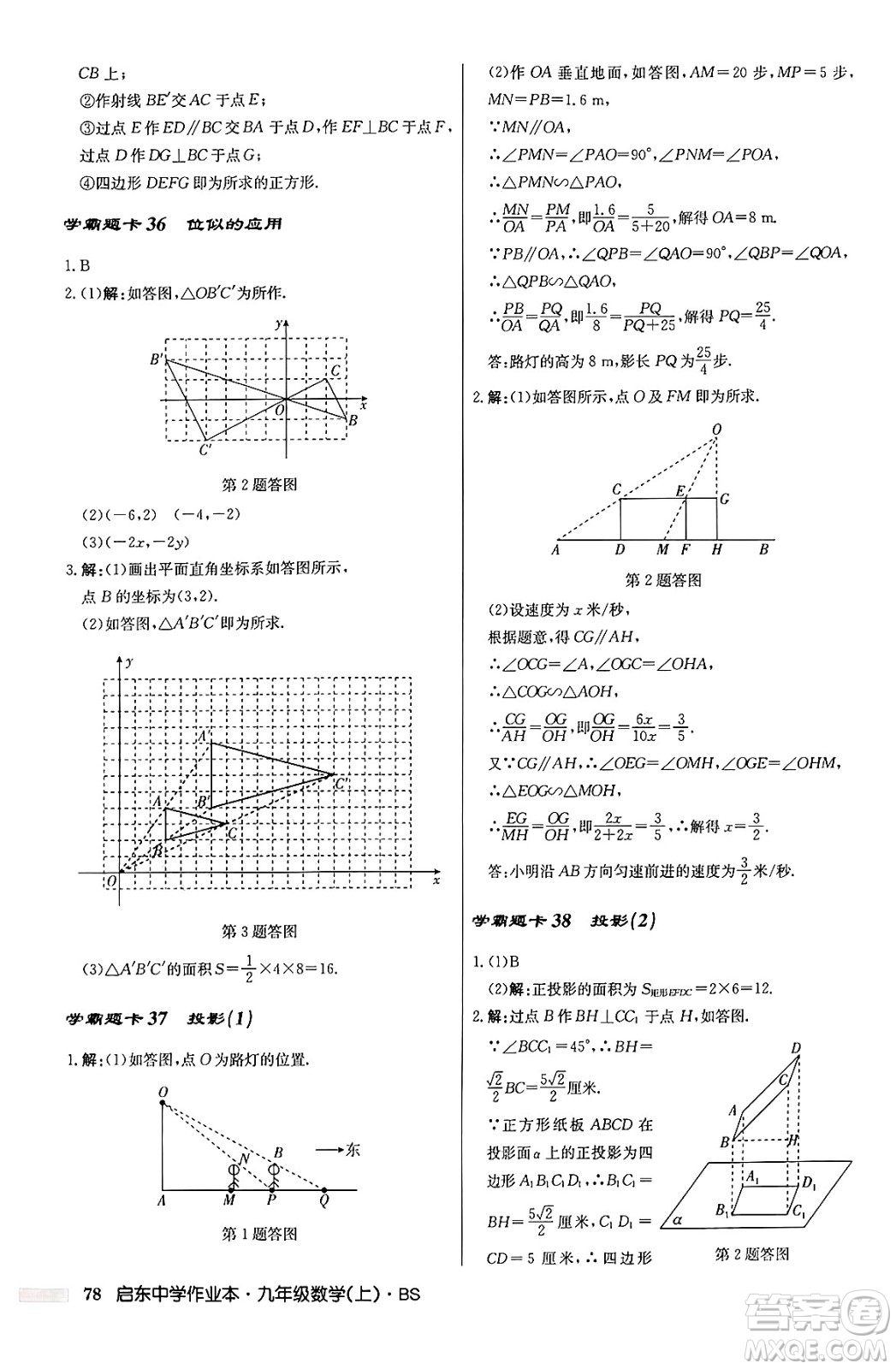 龍門書局2024秋啟東中學(xué)作業(yè)本九年級數(shù)學(xué)上冊北師大版答案