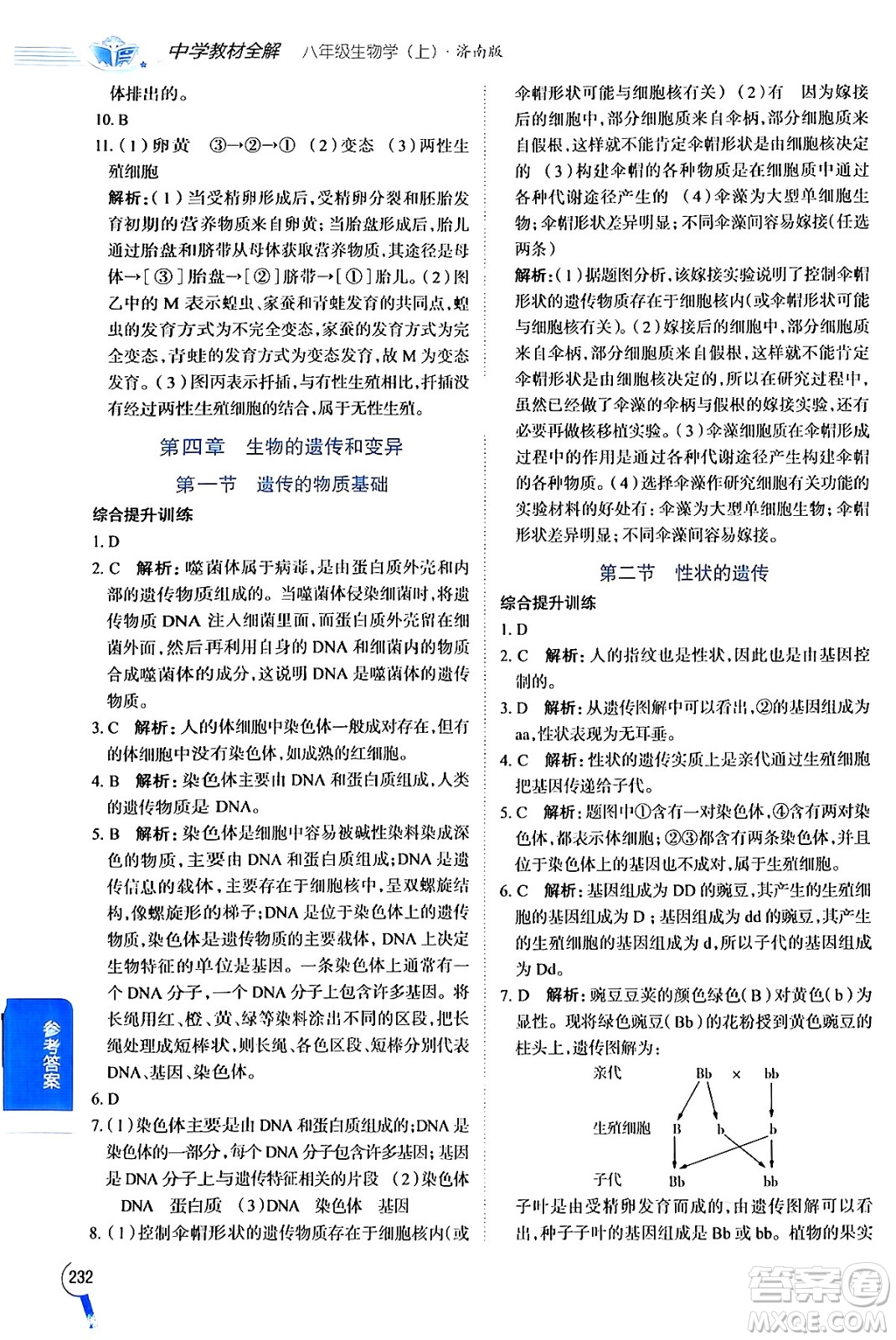 陜西人民教育出版社2024年秋中學(xué)教材全解八年級(jí)生物上冊(cè)濟(jì)南版答案