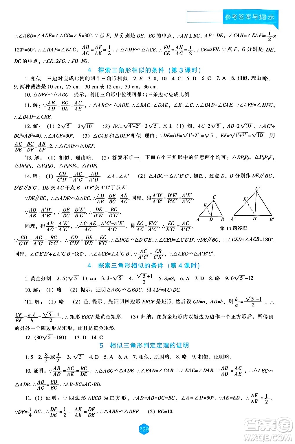 遼海出版社2024年秋新課程能力培養(yǎng)九年級(jí)數(shù)學(xué)上冊(cè)北師大版答案