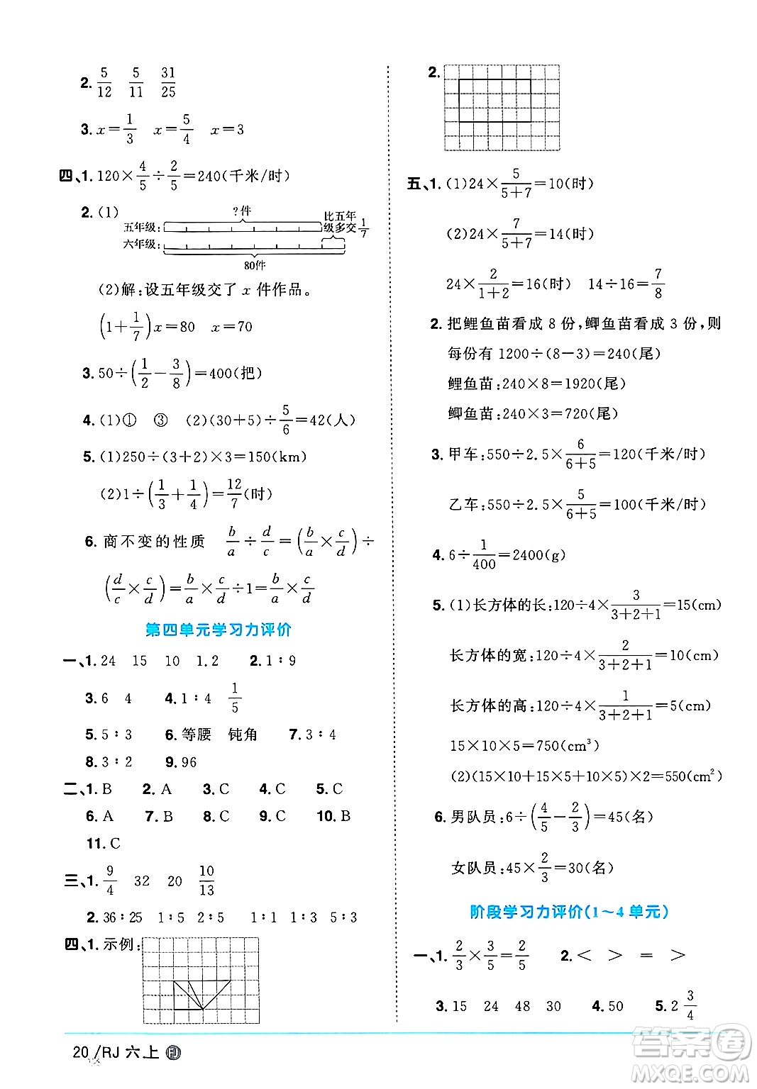 福建少年兒童出版社2024年秋陽(yáng)光同學(xué)課時(shí)優(yōu)化作業(yè)六年級(jí)數(shù)學(xué)上冊(cè)人教版福建專版答案