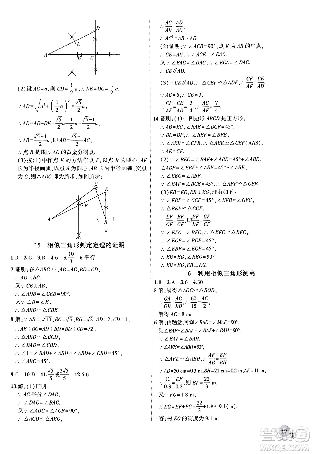 安徽大學(xué)出版社2024年秋創(chuàng)新課堂創(chuàng)新作業(yè)本九年級數(shù)學(xué)上冊北師大版答案